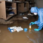 sewer backup health risks